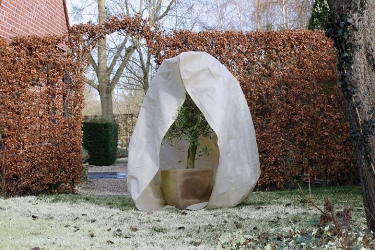 Je Tuin Winterklaar Maken In 10 Stappen | Booiman Tuinen