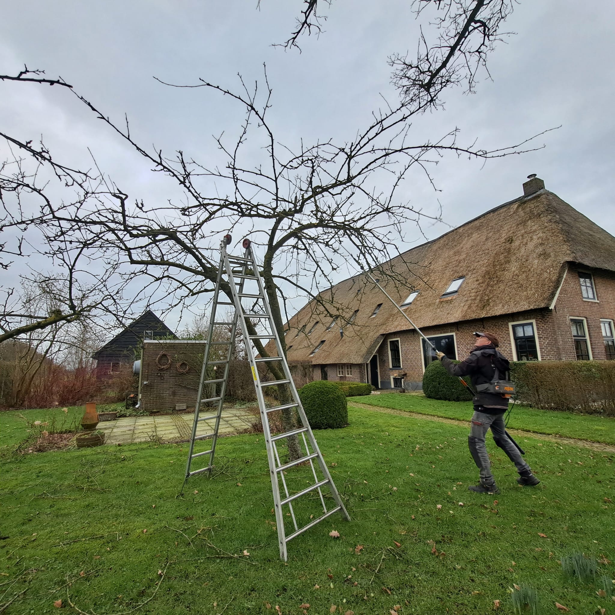 Fruitbomen snoeien